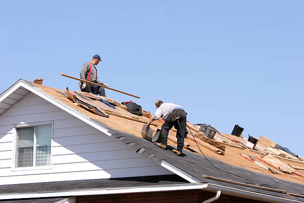 Best Sheet Metal Roofing  in Payette, ID